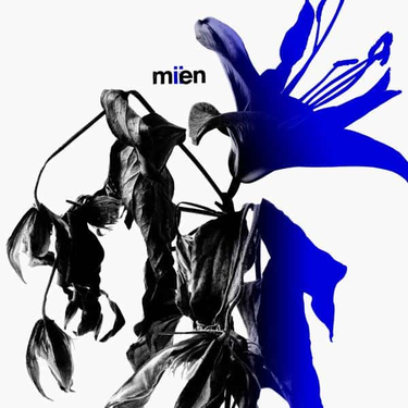 MIEN